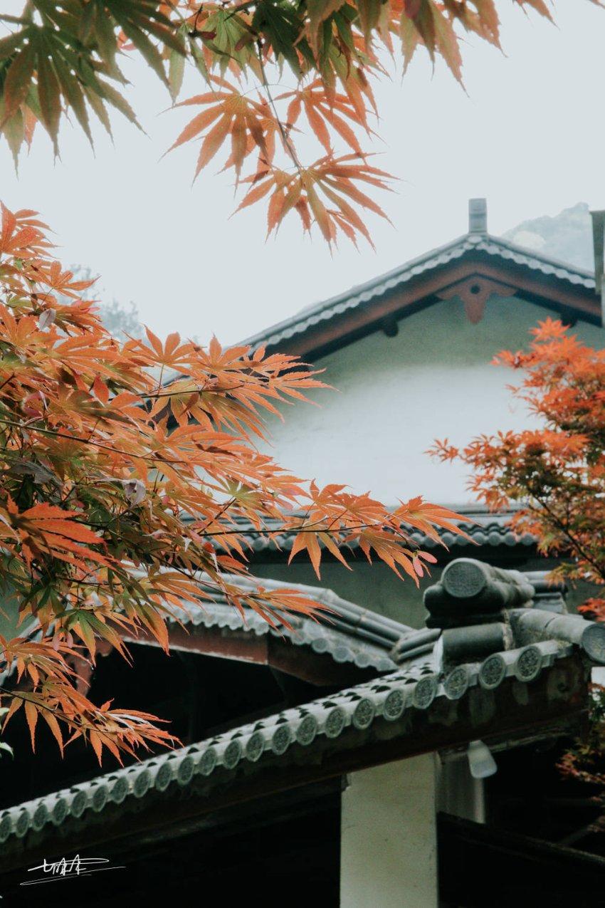 宝贝七巧板